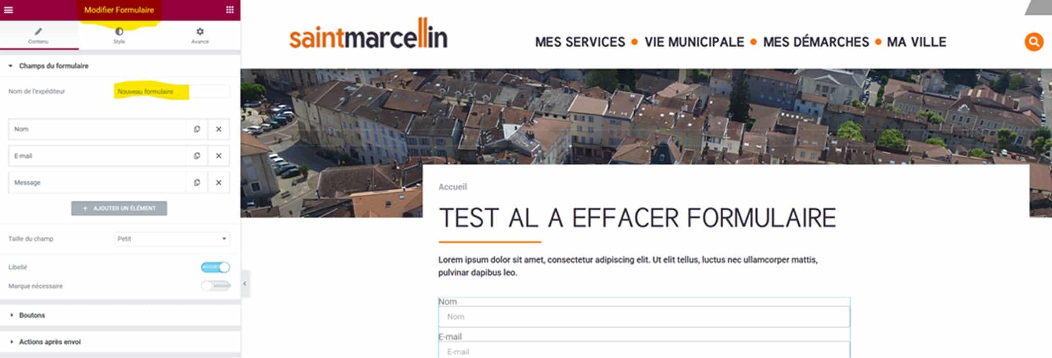 Formulaire_dans_un_article_1