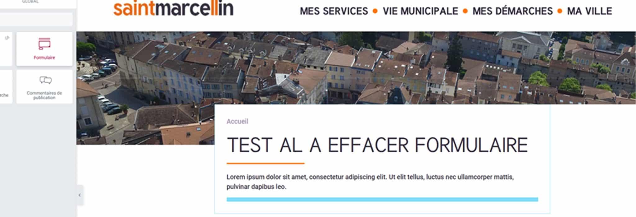 Formulaire_dans_un_article_6