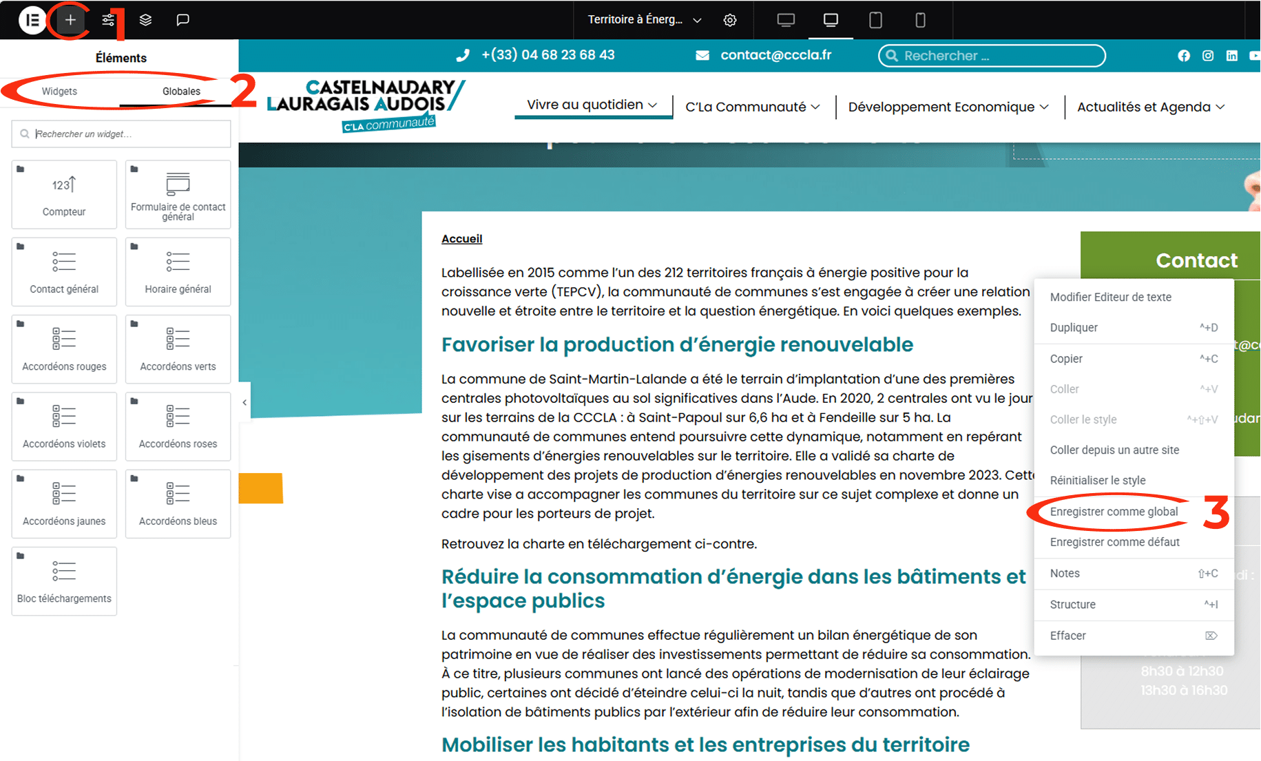 enregistrer_comme_global_2