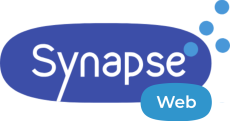 synapse_web 2025